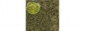 Unkrautbüschel Spätsommer Unkrautbüschel Spätsommer