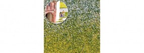 Blütenbüschel Frühling