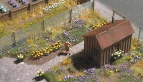 60 Margeriten 60 Margeriten