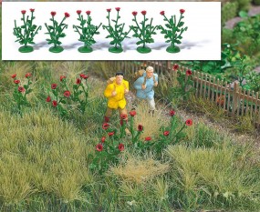 40 Klatschmohn 40 Klatschmohn