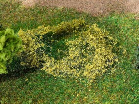 Blätterfoliage, weidegrün Blätterfoliage, weidegrün