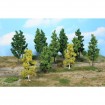 Miniwald-Set, 27 Laubbäume 11-14 cm