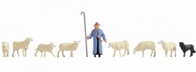 Schafe und Schäfer